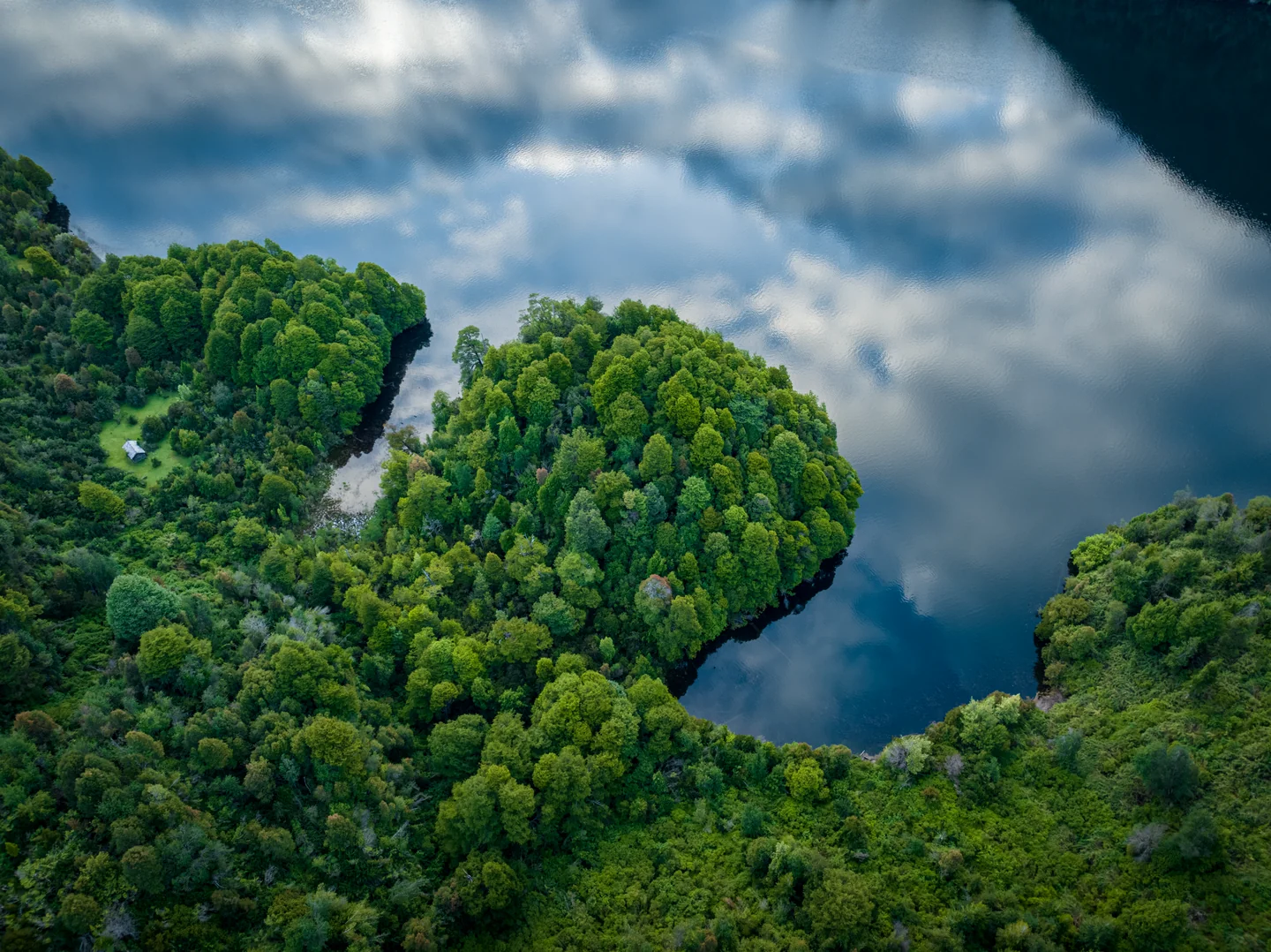 Peninsulas of native forest and clouds reflected in the water