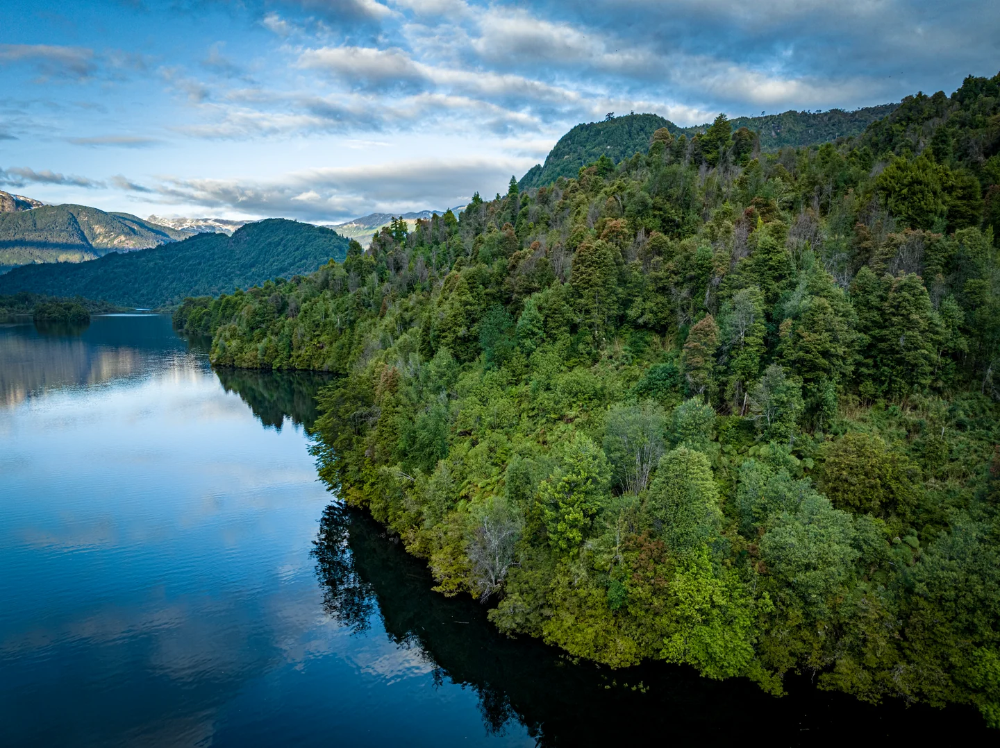 Wooded shore of Lago Roosevelt reflected in calm water