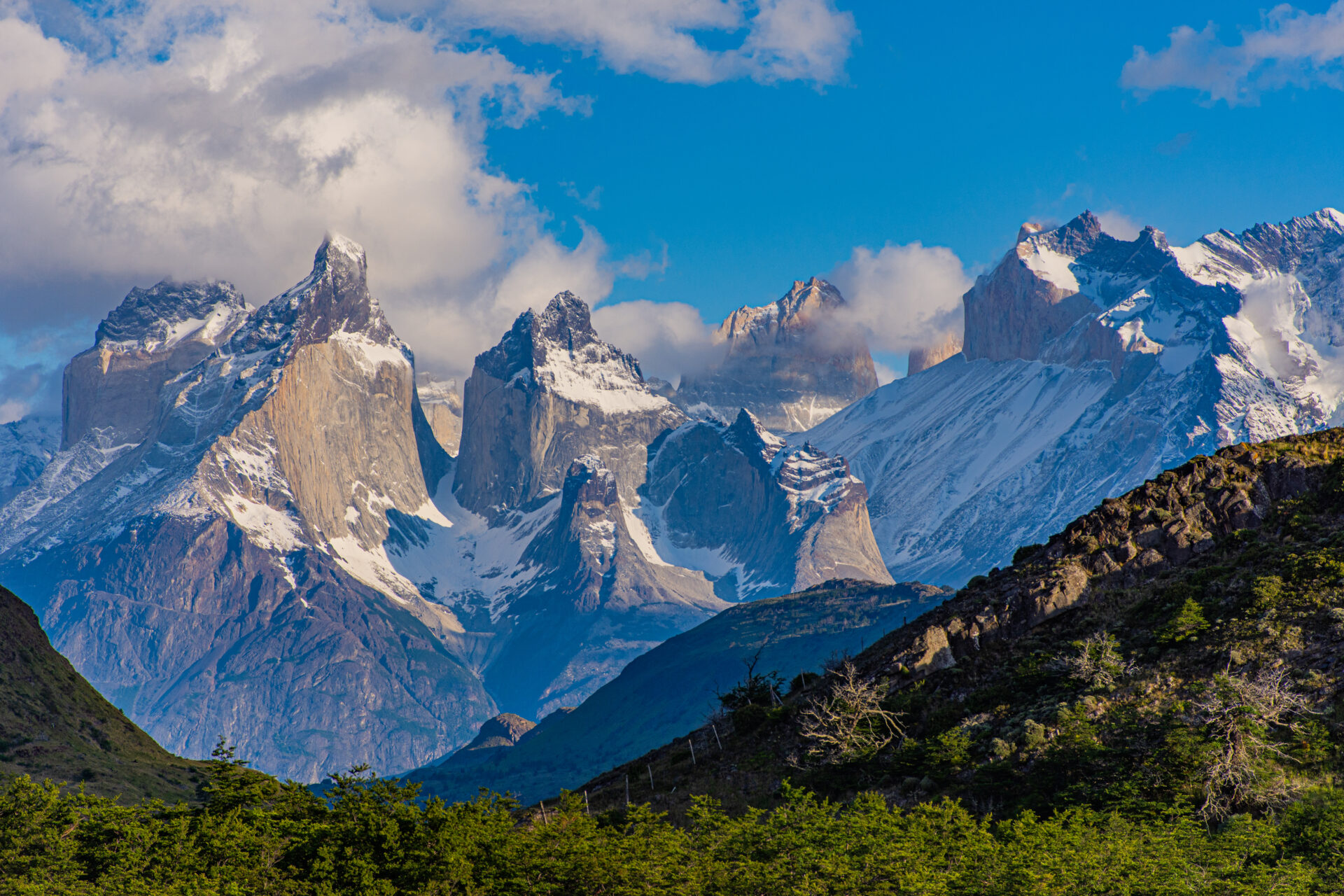 Granite peaks of Torres del Paine above the Patagonian forest